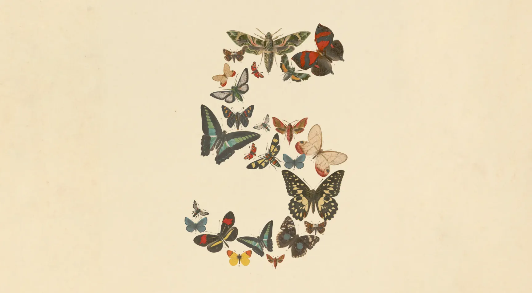 Claude Fable 5